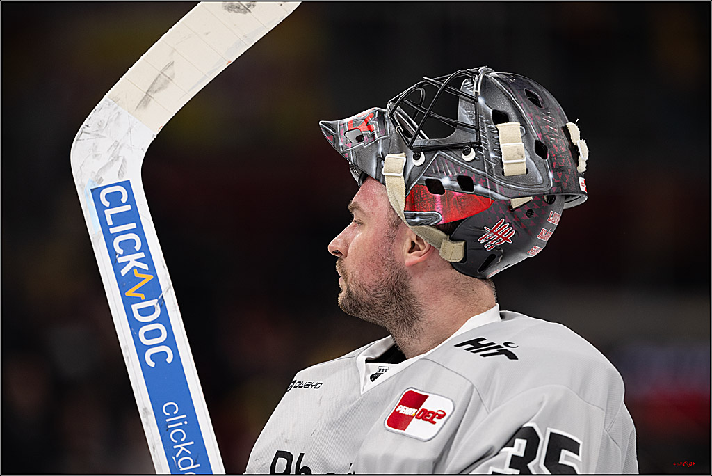 PENNY DEL 1; Düsseldorfer EG - Kölner Haie; Düsseldorf, 24.01.2025